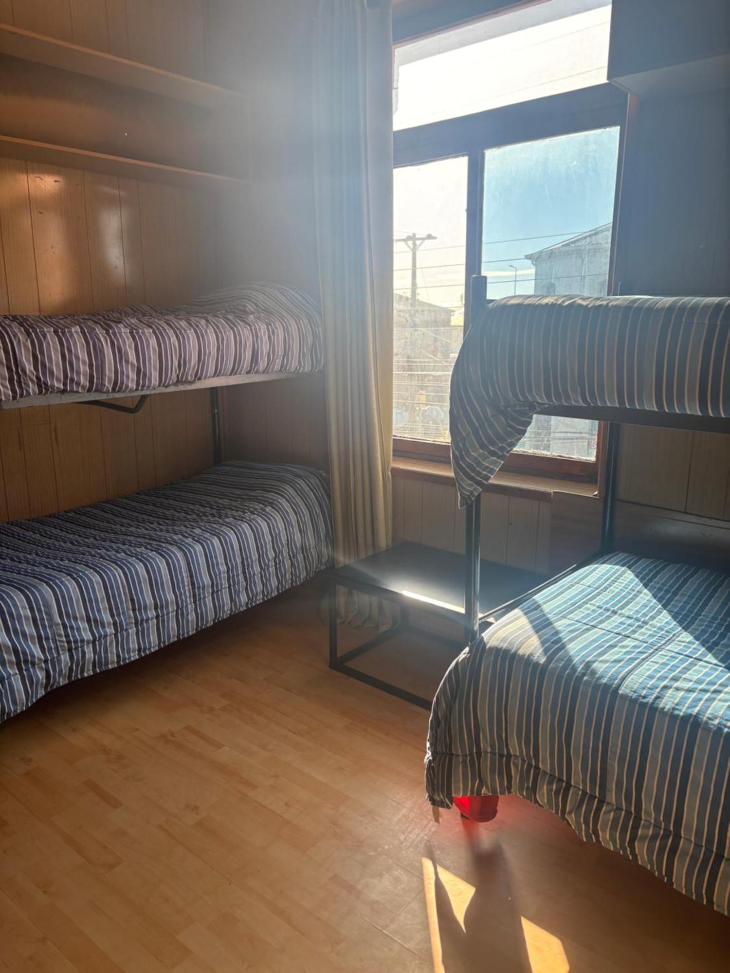 Hostel La Morenita Пунта Аренас Екстериор снимка